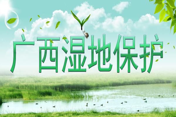 广西壮族自治区湿地保护条例（2014年11月）